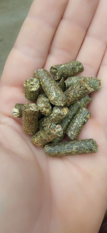 Lucerna pellet